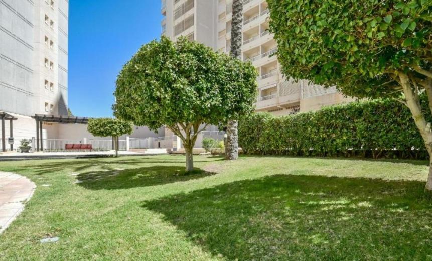 Homeincalpe Apolo XVII 1-14-41 Exterior foto